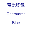 文字方塊: 電泳膠體
Coomassie
Blue
Staining
