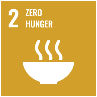 SDGs2