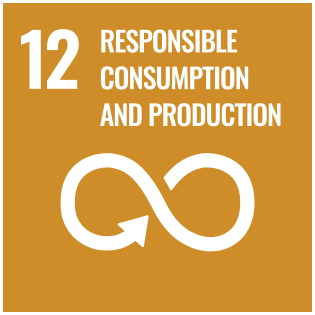 SDGs12